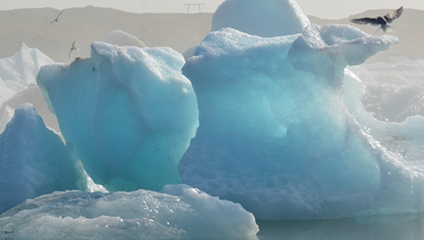 Калифорнийские учёные предложили использовать кремнезём для замедления таяния льдов в Арктике